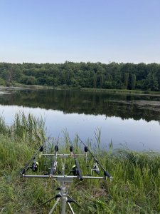 IMG_6013.jpeg