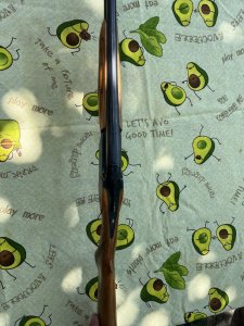 IMG_5054.jpeg