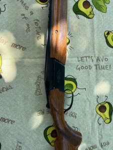 IMG_5055.jpeg