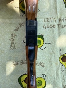 IMG_5056.jpeg