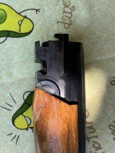 IMG_5061.jpeg