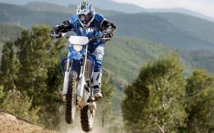 seif2010