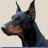 doberrr