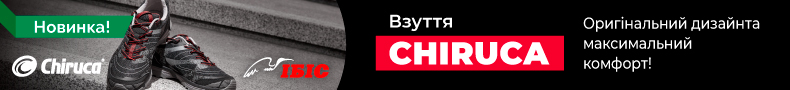 Ibis Irbis