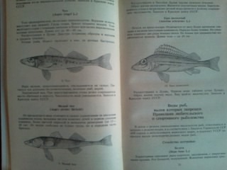 Настольная книга рыболова (4).jpg