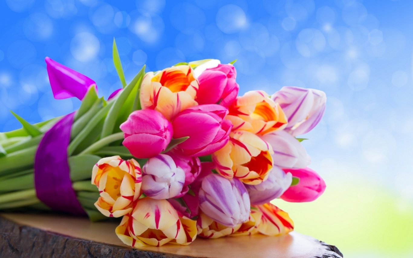 Nature___Flowers___Bouquet_of_tulips_042489_.jpg